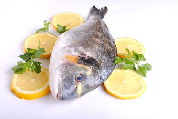 Raw sea fish with lemon slices and parsley — Stock Photo, Image