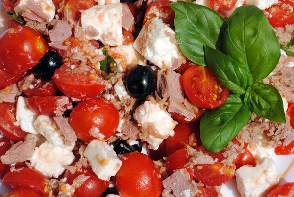 Close up of salad with tomatoes and basil — Stock Photo, Image