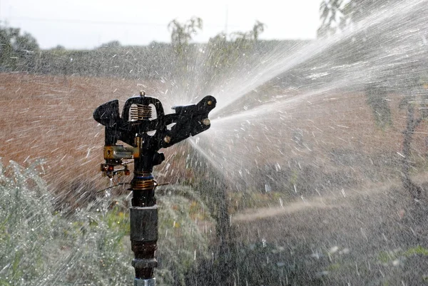 Water pump watering an organic garden — Stock Photo, Image