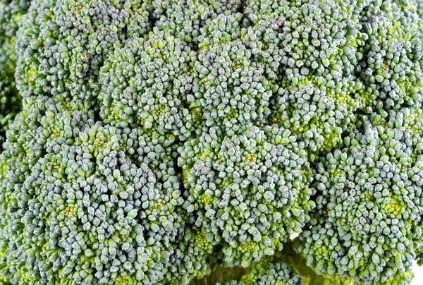 Organic broccoli — Stock Photo, Image