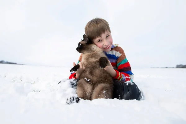 Liten Pojke Sitter Snön Och Håller Siamesisk Katt — Stockfoto