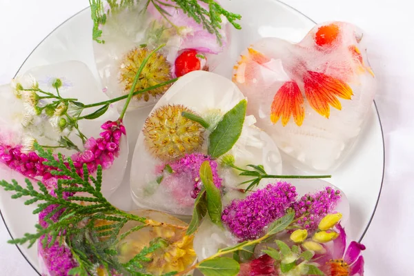 Różne Kwiaty Kostkach Lodu Kreatywne Tło Kwiatowe Mrożone Piękne Rośliny — Zdjęcie stockowe