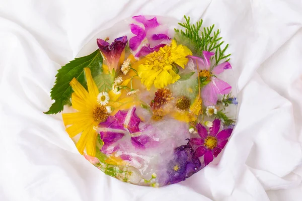 Różne Kwiaty Kostkach Lodu Kreatywne Tło Kwiatowe Mrożone Piękne Rośliny — Zdjęcie stockowe