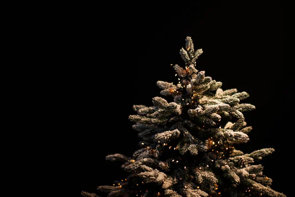 Kerstboom Een Zwarte Achtergrond — Stockfoto