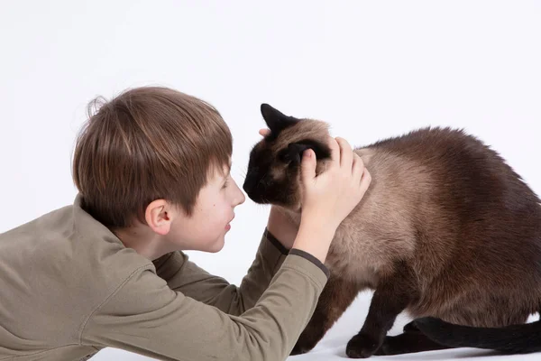 Rapazinho Está Brincar Com Gato Criança Animal Estimação — Fotografia de Stock