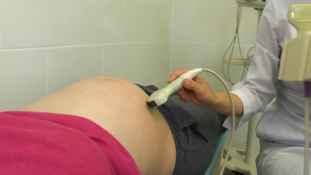 Woman Obstetrician Makes Ultrasound Pregnant Woman — Stock Video