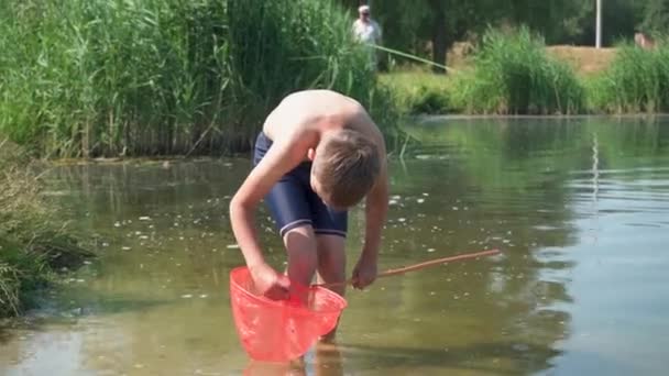 一个拿着蝴蝶网的小男孩在湖中钓鱼 — 图库视频影像