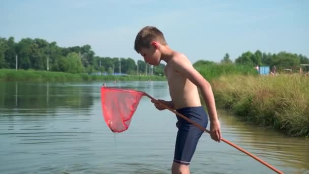 Een Kleine Jongen Met Een Vlinder Net Vangt Frituur Het — Stockvideo