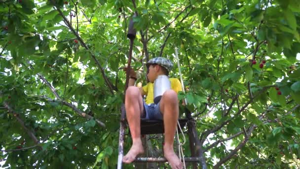 Boy Sitting Stairs Picking Cherries — Stockvideo