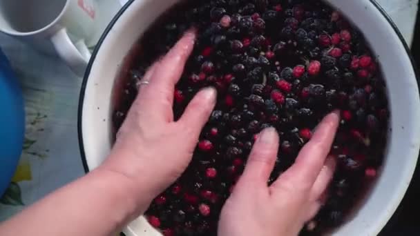 Women Bowl Washing Fresh Berries Water Rural Life Summer — Stockvideo