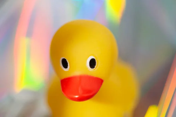 Yellow Rubber Duck Holographic Trendy Background — Fotografia de Stock
