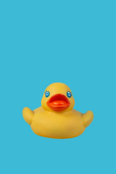 Yellow Rubber Duck Swimming Blue Background — Fotografia de Stock