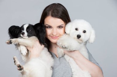 A cute young woman is holding her papillon and bichon puppy. Love between owner and dog. The girl plays with the dogs. Pets.