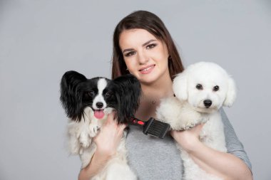 A cute young woman is holding her papillon and bichon puppy. Love between owner and dog. The girl plays with the dogs. Pets.
