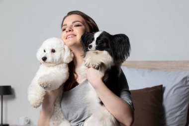 Happy girl holding cute bichon and papillon dogs.