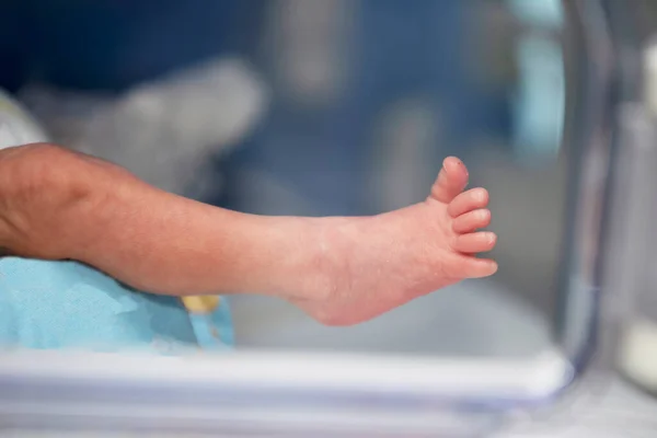 Little Foot Newborn Baby Neonatal Medicine — Photo