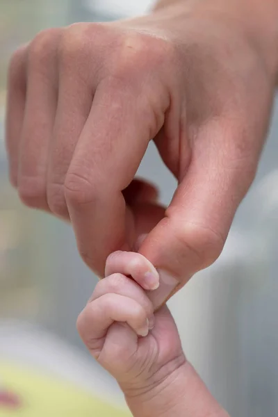 Χέρι Ενός Ενήλικα Κρατά Χέρι Ενός Νεογέννητου Παιδιού — Φωτογραφία Αρχείου