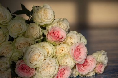 Bouquet of white roses close-up in beige tones.