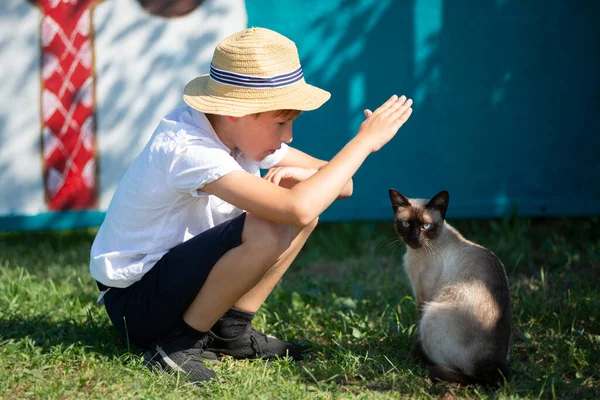 一个乡村男孩和一只暹罗猫玩耍 — 图库照片