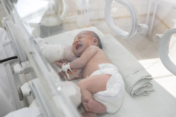 Newborn Baby Lies Boxes Hospital Child Incubator Neonatal Premature Intensive — Photo