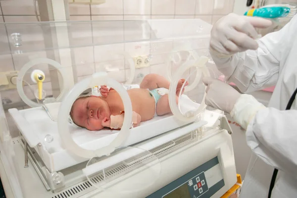 Premature Newborn Special Incubator Children Department Hospital — ストック写真