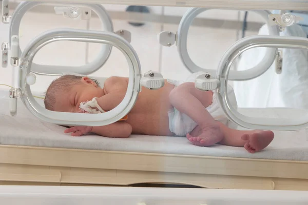 Premature Newborn Special Incubator Children Department Hospital — Foto Stock