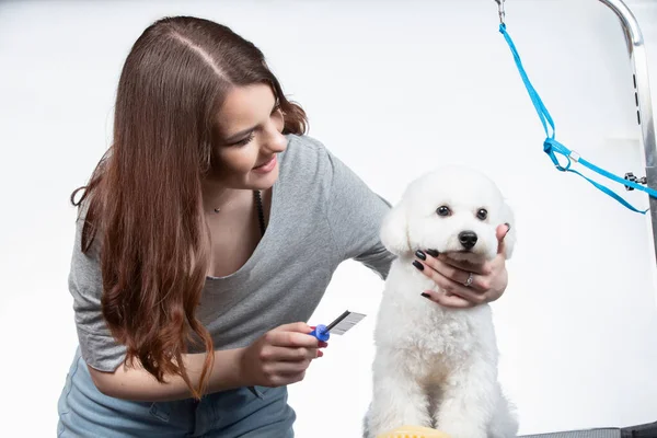 ペットと若いプロのグルーマー 彼女は楽器を持ってポーズをとっている ビション犬と女の子の美容師 — ストック写真