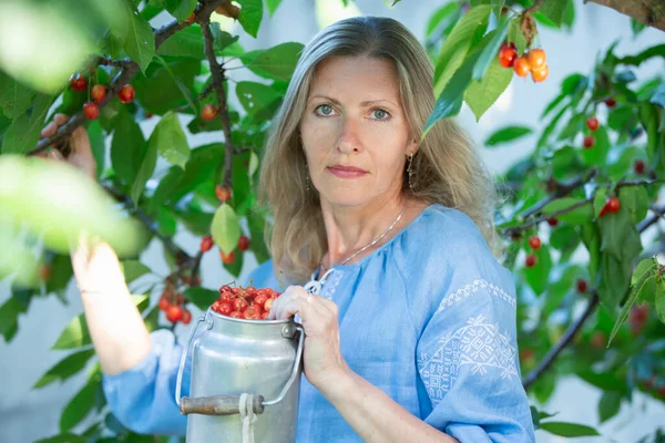 아름다운 여자가 열매를 거두어들이고 있습니다 과일나무 가지에 — 스톡 사진