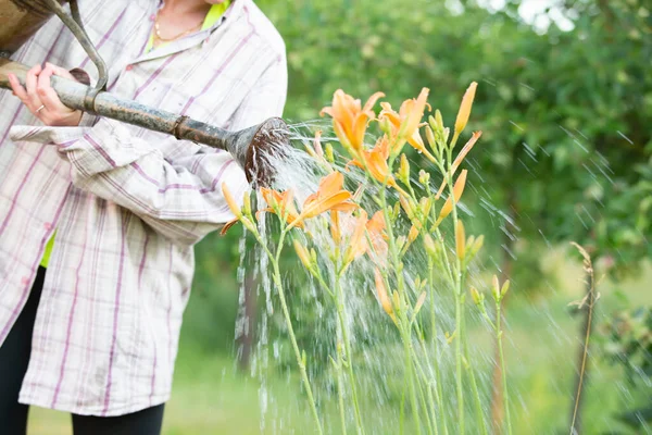 Una Mujer Riega Flores Jardín Cuida Del Jardín — Foto de Stock