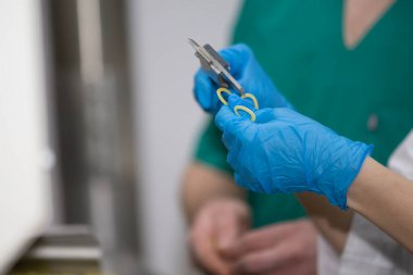 Bir üretim teknisyeninin elleri makarnanın kalitesini ve boyutunu kontrol eder. Makarna üretimi.