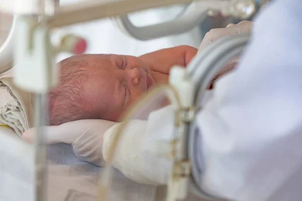 Newborn Baby Lies Boxes Hospital Child Incubator Neonatal Premature Intensive — Foto Stock