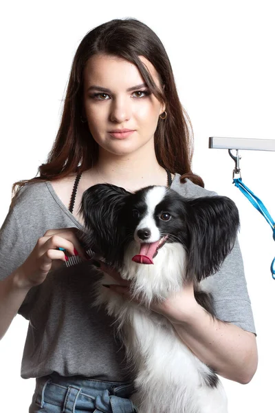 ペットと若いプロのグルーマー 彼女は楽器を持ってポーズをとっている パピヨン犬と女の子の美容師 — ストック写真