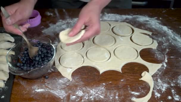 Tangan Membuat Pangsit Dengan Buah Berry Vareniki Dengan Blueberry — Stok Video