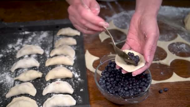 手用浆果做饺子 Vareniki Blueberries — 图库视频影像