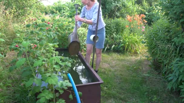 Kvinna Sin Trädgård Vattnar Trädgårdsväxter Från Metallburk Koncept Trädgårdsskötsel Vår — Stockvideo