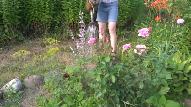 一位美丽的老妇人正在花园里用金属浇灌罐浇灌花园的植物 — 图库视频影像