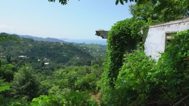 Sebuah Rumah Tua Yang Hancur Pegunungan Ditumbuhi Tanaman Hijau — Stok Video