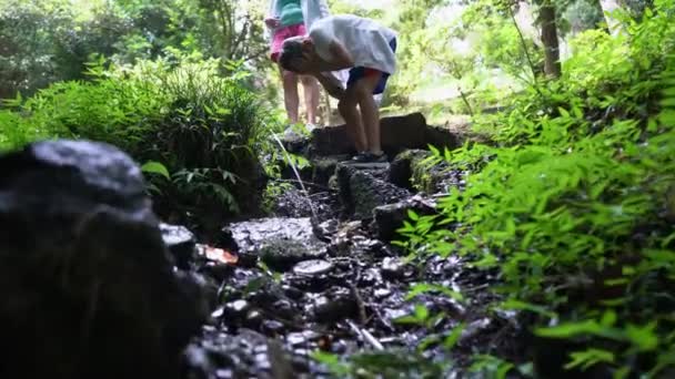 Fresh Water Flows Spring Boy Hands Boy Washes His Face — Video Stock