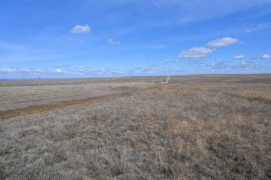 Bozkırlarda otoyol, çalılar, çimenler ve bulutlu gökyüzü. Bahar manzarası.