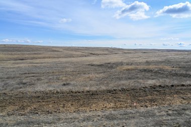 Çöl bozkırları, çalılar, çimenler ve bulutlu gökyüzü. Bahar manzarası.