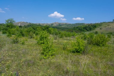Volga Nehri kıyısında, Zhigulevsk kasabası yakınlarında. Zhiguli dağları. Samarskaya Luka. Yaz.