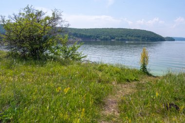 Volga Nehri kıyısında, Zhigulevsk kasabası yakınlarında. Zhiguli dağları. Samarskaya Luka. Yaz.