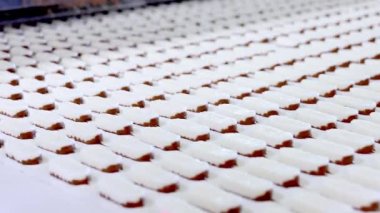 Çikolata parçacıkları, çikolata kaplı değil, hindistan cevizi gevreğinden yapılmış. Taşıyıcı bandı uzat. Şekerleme üretim fabrikası..