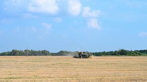 Ulyanovsk Russia August 2021 Harvester Harvesting Agricultural Machinery — Stock Video