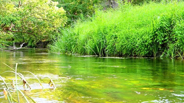 Schöne Sommerlandschaft Des Kleinen Cheremshan Mit Wald Ufer Gras Und — Stockfoto
