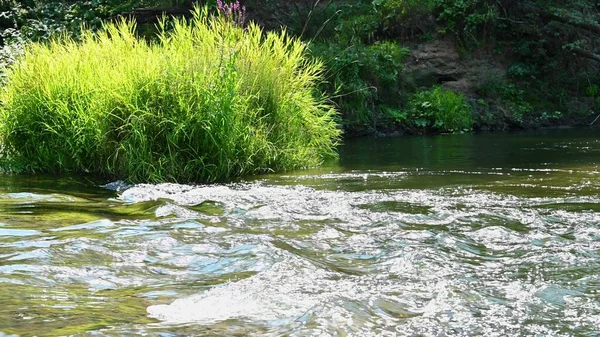 Río Pintoresco Con Una Corriente Rápida Día Soleado Verano — Foto de Stock