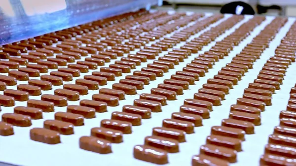 Conveyor Passing Chocolate Bars Chocolate Factory Stockbild