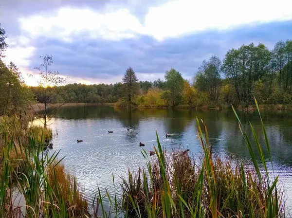 카잔의 호수에 태양과 오리의 실루엣의 로열티 프리 스톡 이미지