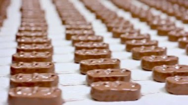 Çikolatalı konveyör. Çikolata Fabrikası.