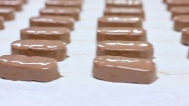 Çikolatalı konveyör. Çikolata Fabrikası.